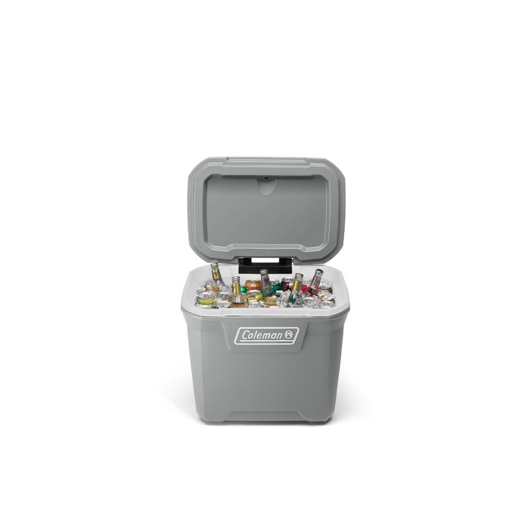 Coleman best sale tabletop cooler